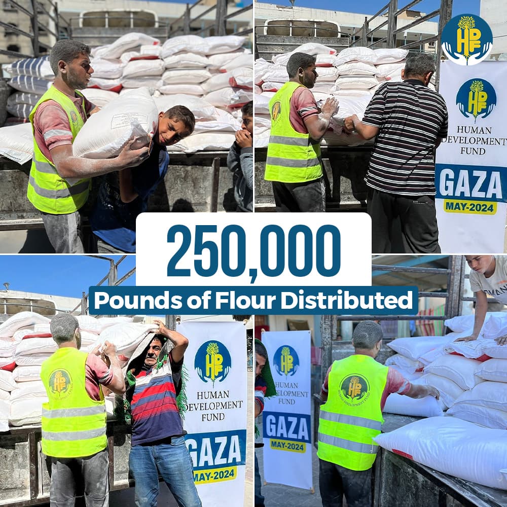 Humanitarian impact collage